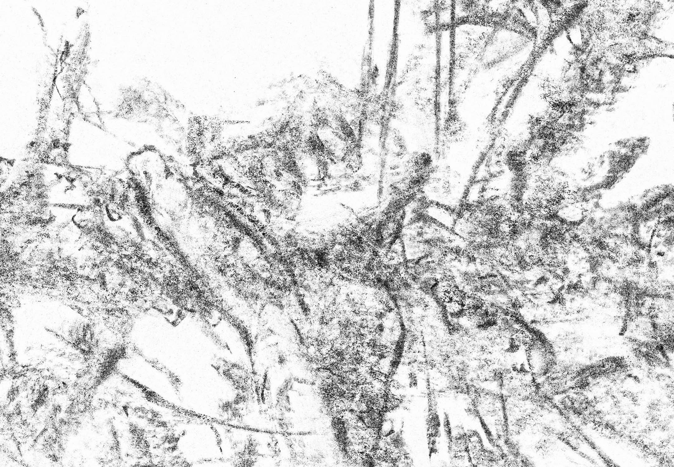 détail 1