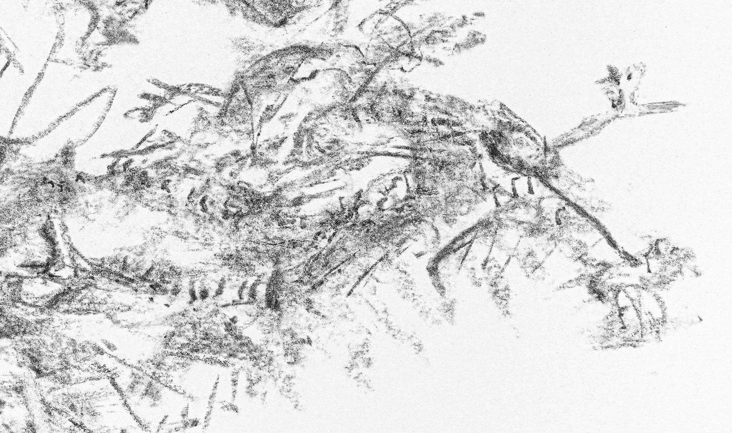 détail 3